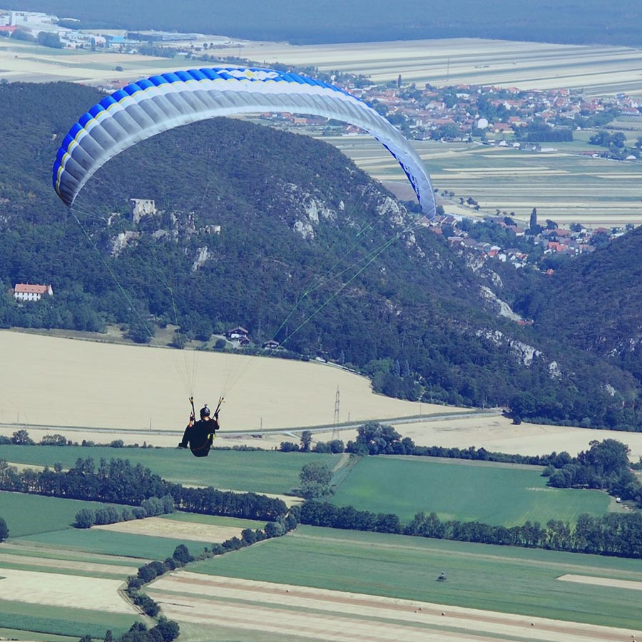 Suspendisse at velit